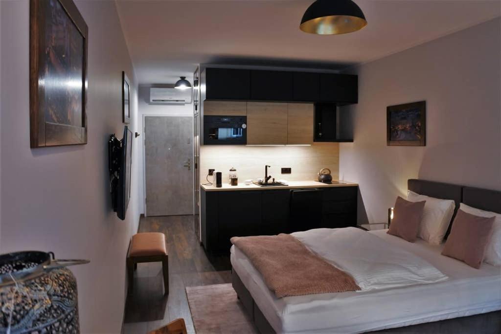Boutique 109 - Old City, Luxury Apt. With A Garage Krakow Dış mekan fotoğraf
